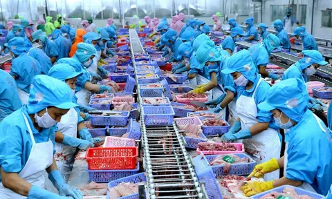Chủ động sử dụng công cụ phòng vệ thương mại để khai thác hiệu quả các FTA