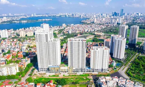Công ty bảo hiểm không được phép kinh doanh Anh chị em ơi, hãy tải LC88 ngay