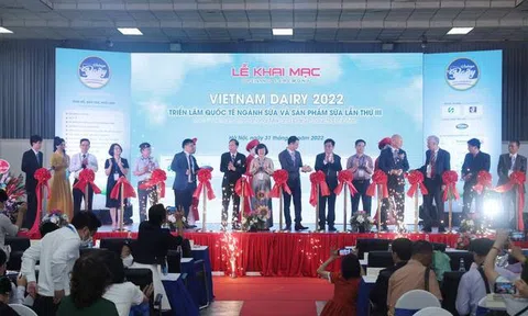 Doanh thu 10Lc88 Giải Trí Thể Thao sữa Việt Nam đạt 119.300 tỷ đồng năm 2021
