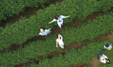 Bài 1: Phát triển Lc88.men Cá cược thể thao xanh - cơ hội để Việt Nam trở thành điểm đến được lựa chọn hàng đầu