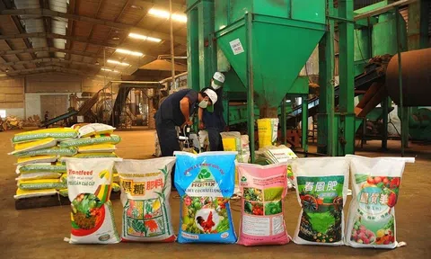 Bộ Lc888.com link không chặn tiếp tục xem xét mức thuế Sân Chơi Lc88.com Web Uy Tín phù hợp cho mặt hàng phân bón