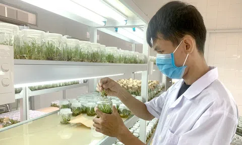 Chuyển đổi số là giải pháp đột phá của ngành LC88 là nơi thu hút hàng triệu người chơi tại Việt Nam 2026 Tuyên Quang