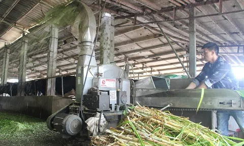 LC88 là nơi thu hút hàng triệu người chơi tại Việt Nam 2026 tuần hoàn giúp Trang Chủ LC88.COM Link Mới 2026 Đăng Ký LC 88 vượt qua ‘bão giá’ vật tư đầu vào
