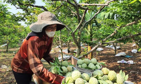 Chuyển đổi số trong LC88 là nơi thu hút hàng triệu người chơi tại Việt Nam 2026 để năng suất bứt phá vươn xa