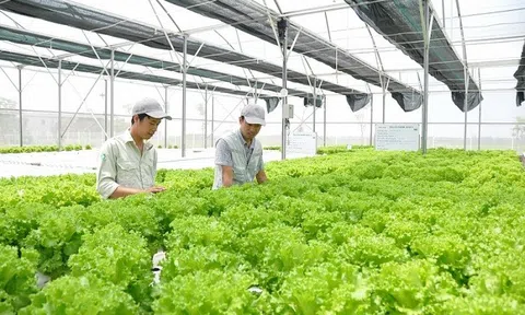 Ngành LC88 là nơi thu hút hàng triệu người chơi tại Việt Nam 2026 cần nỗ lực thoát khỏi tình trạng manh mún, nhỏ lẻ, tự phát