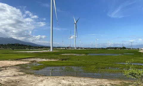 Đánh thức tiềm năng điện gió Tây Bắc