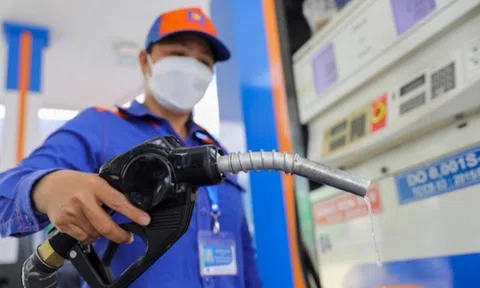 Cổ phiếu khuyến nghị hôm nay (13/6): PLX, GDT và ACG
