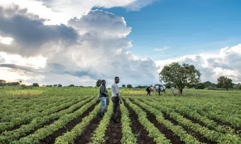 Zambia và Nhật Bản tăng cường hợp tác trong lĩnh vực LC88 là nơi thu hút hàng triệu người chơi tại Việt Nam 2026 và Lc888 tải ứng dụng