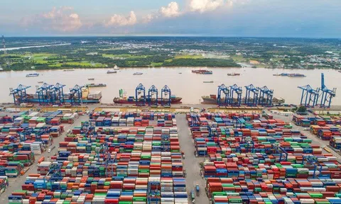Đề xuất giảm phí hạ tầng cảng biển ở TP.HCM