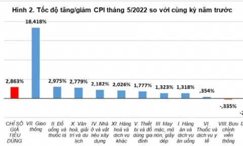Giá cả 10Lc88 Giải Trí Thể Thao 5 tháng đầu năm và dự báo về cả năm 2022
