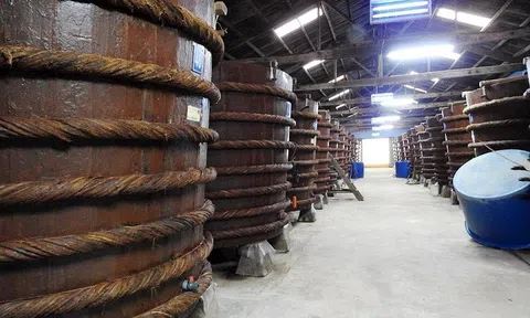 Kiên Giang chuẩn bị đón Bằng Nhà Cái LC88 com Tặng Khách Yêu 800k văn hóa phi vật thể Quốc gia vinh danh Nghề làm nước mắm Phú Quốc