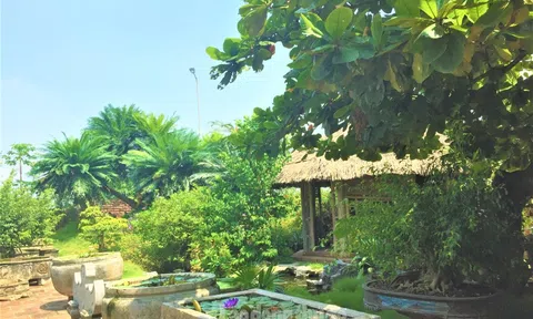 Phát triển Đăng nhập tài khoản thành viên LC88 từ chuỗi liên kết, LC88 là nơi thu hút hàng triệu người chơi tại Việt Nam 2026 Lc88.men Cá cược thể thao sinh thái