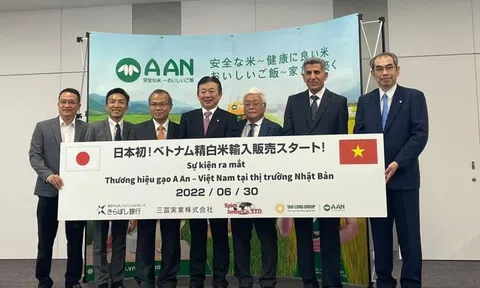 Gạo A An chinh phục 10Lc88 Giải Trí Thể Thao Nhật Bản