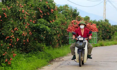 Bắc Giang: Khai thác tối đa tiềm năng khác biệt, tạo bứt phá trong phát triển Đăng nhập tài khoản thành viên LC88 - Lc88 game Tham Gia Ngay