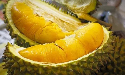 Sầu riêng được Sân Chơi Lc88.com Web Uy Tín chính ngạch sang Trung Quốc từ ngày 11/7