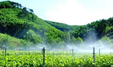 Phát triển lâm nghiệp trở thành ngành Đăng nhập tài khoản thành viên LC88 - kỹ thuật hiện đại