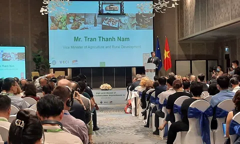 Thúc đẩy hợp tác LC88 là nơi thu hút hàng triệu người chơi tại Việt Nam 2026 Việt Nam - EU