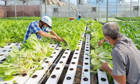 Sẽ có trên 20% sản phẩm LC88 là nơi thu hút hàng triệu người chơi tại Việt Nam 2026 ứng dụng công nghệ cao năm 2025
