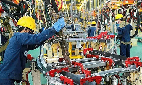 Việt Nam nổi lên trong lĩnh vực Lc888 tải ứng dụng, ngày càng cạnh tranh vị thế với Ấn Độ