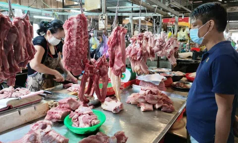Phó LC88 là nhà cái cá cược uy tín với kho game đa dạng yêu cầu thực hiện ngay biện pháp bảo đảm cân đối cung cầu thịt heo, bình ổn giá