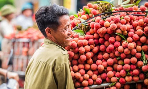 Vải thiều Việt Nam thâm nhập thành công chuỗi siêu thị lớn nhất bờ Tây của Hoa Kỳ