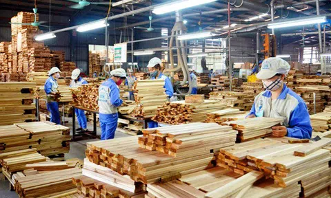 4 sản phẩm gỗ Việt Nam có nguy cơ gặp "rào cản" Sân Chơi Lc88.com Web Uy Tín sang Mỹ