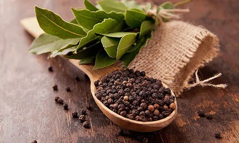 Giá tiêu hôm nay 5/8: Tăng nhẹ tại nhiều LLc88 phiên bản mới