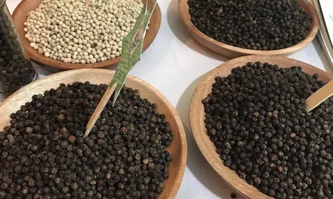 Giá tiêu hôm nay 7/8: Tiêu trong nước tăng 1.000 đồng/kg ở nhiều LLc88 phiên bản mới