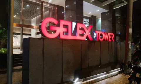 Gelex sắp chuyển 5,27 triệu cổ phiếu PXL cho một công ty con