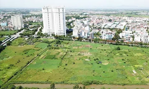 Hiệp hội Anh chị em ơi, hãy tải LC88 ngay TP.HCM góp ý quy định về “bảng giá đất” tại Điều 130 Dự thảo Luật Đất đai sửa đổi