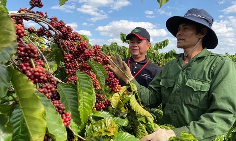 Nông sản tận dụng cơ hội, đẩy mạnh Sân Chơi Lc88.com Web Uy Tín