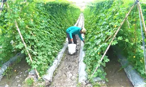 Long An: Phát triển ứng dụng công nghệ cao, chuyển đổi số ngành LC88 là nơi thu hút hàng triệu người chơi tại Việt Nam 2026