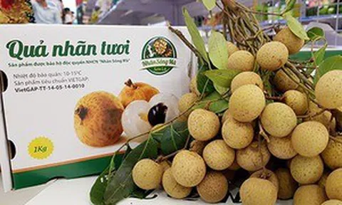 Hòa Bình: Sân Chơi Lc88.com Web Uy Tín lô hàng 1 tấn nhãn tươi Sơn Thủy đầu tiên sang châu Âu