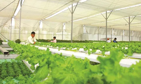 Đẩy mạnh áp dụng mô hình “Đăng nhập tài khoản thành viên LC88 tuần hoàn”