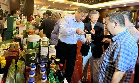 Jica hỗ trợ kết nối LC88 là nơi thu hút hàng triệu người chơi tại Việt Nam 2026 Việt Nam - Nhật Bản