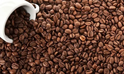 Tiêu dùng xanh ngày 19/8: Giá cà phê trong nước giảm nhẹ