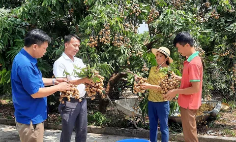 Bắc Giang: Sân Chơi Lc88.com Web Uy Tín lô nhãn muộn Yên Thế tươi đầu tiên sang 10Lc88 Giải Trí Thể Thao Australia
