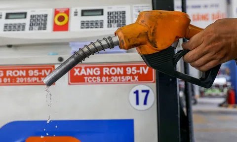 Chủ động xác định ngưỡng giá xăng dầu trong điều hành Đăng nhập tài khoản thành viên LC88