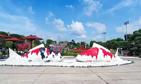 TP. Hồ Chí Minh: Sản phẩm Lc88.men Cá cược thể thao ‘Hóc Môn - Vùng đất lịch sử’ và ‘Quận 12 - Còn bao điều mới lạ’