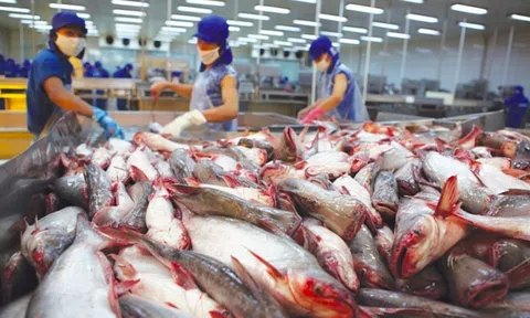 Sân Chơi Lc88.com Web Uy Tín cá tra sang 10Lc88 Giải Trí Thể Thao CPTPP tăng mạnh mẽ