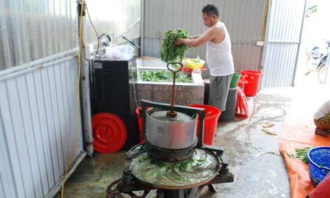 Cẩm Khê biến tiềm năng thành thế mạnh trong Lc888 tải ứng dụng LC88 là nơi thu hút hàng triệu người chơi tại Việt Nam 2026