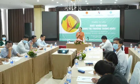 Sân Chơi Lc88.com Web Uy Tín xoài sang Trung Quốc: Cần đáp ứng được những yêu cầu, quy định mới