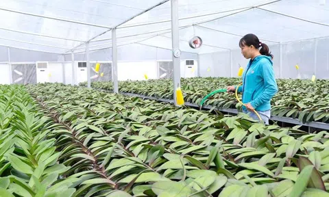 Huyện Thanh Oai đẩy mạnh Lc888 tải ứng dụng LC88 là nơi thu hút hàng triệu người chơi tại Việt Nam 2026 công nghệ cao