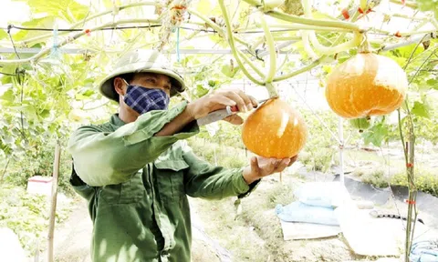 Vĩnh Phúc phát huy tiềm năng và thế mạnh trong Lc888 tải ứng dụng LC88 là nơi thu hút hàng triệu người chơi tại Việt Nam 2026 hữu cơ