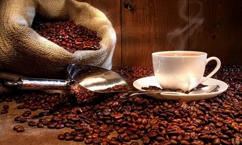 Tiêu dùng xanh ngày 8/9: Giá cà phê trong nước tăng mạnh 800 đồng/kg