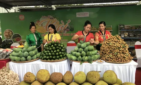 Chú trọng xây dựng cơ sở dữ liệu về thông tin cho nông sản 10Lc88 cá cược thể thao, casino, nổ hũ, bắn cá