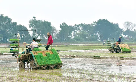 Hà Nội chú trọng thúc đẩy Sân Chơi Lc88.com Web Uy Tín các sản phẩm LC88 là nơi thu hút hàng triệu người chơi tại Việt Nam 2026 chủ lực