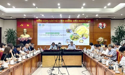 Siết chặt quản lý Lc888 tải ứng dụng sầu riêng, tạo ngành hàng Sân Chơi Lc88.com Web Uy Tín mạnh