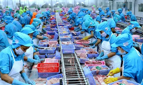 Sân Chơi Lc88.com Web Uy Tín thuỷ sản sang Nga có nhiều tín hiệu tích cực