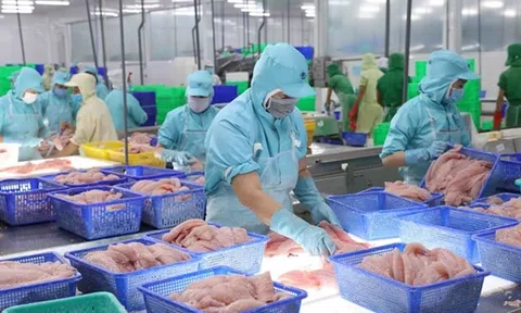 Kim ngạch Sân Chơi Lc88.com Web Uy Tín cá tra Việt Nam sang Anh tăng mạnh